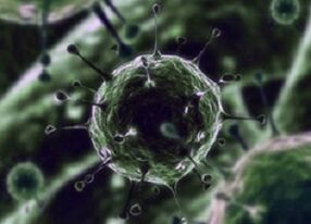 Microorganisme bacteriene ca cauză a prostatitei